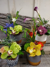 Load image into Gallery viewer, Surprise European Arrangement - Designers Choice